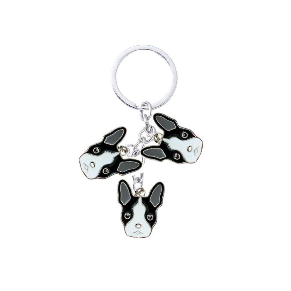Boston Terrier