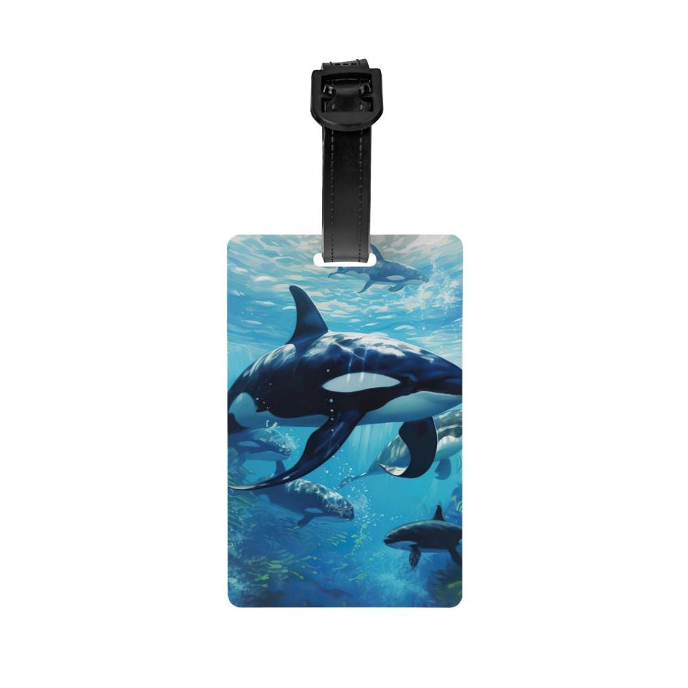 Killerwale schwimmen entlang 2
