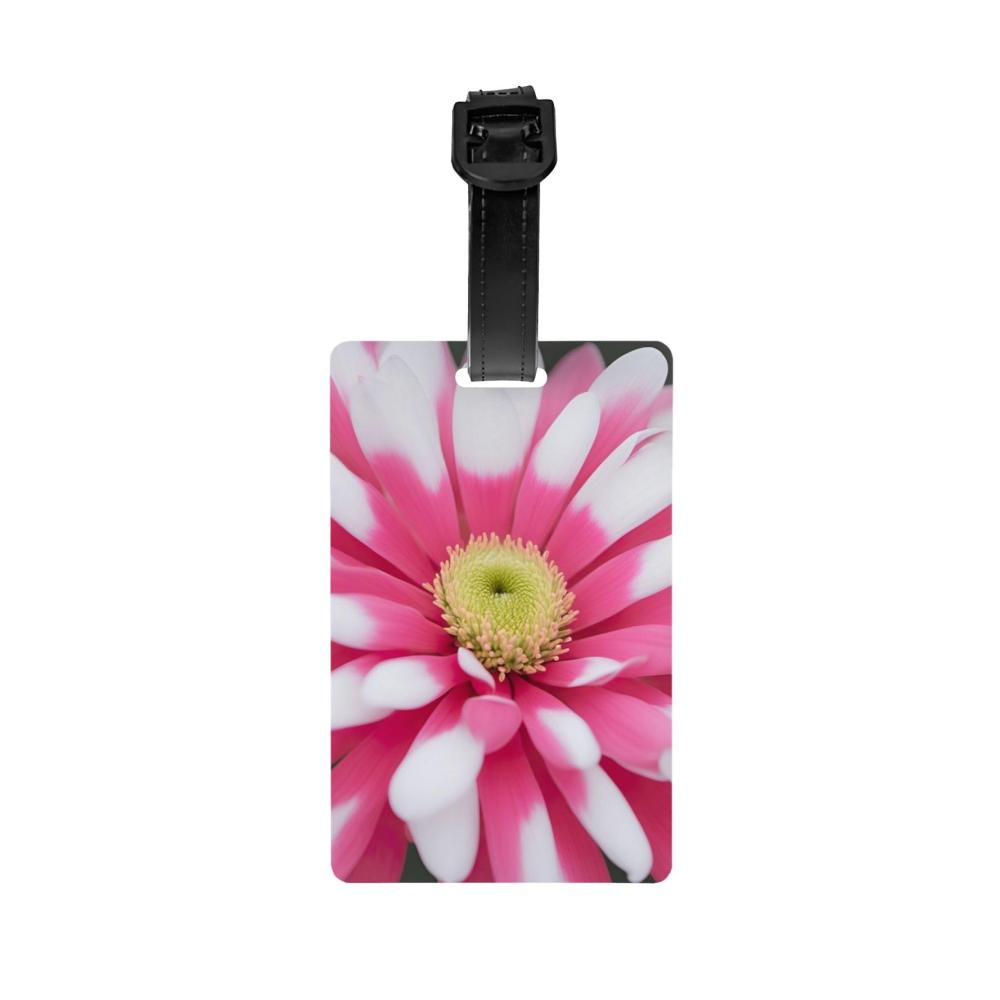 Rosa und weiße Blume