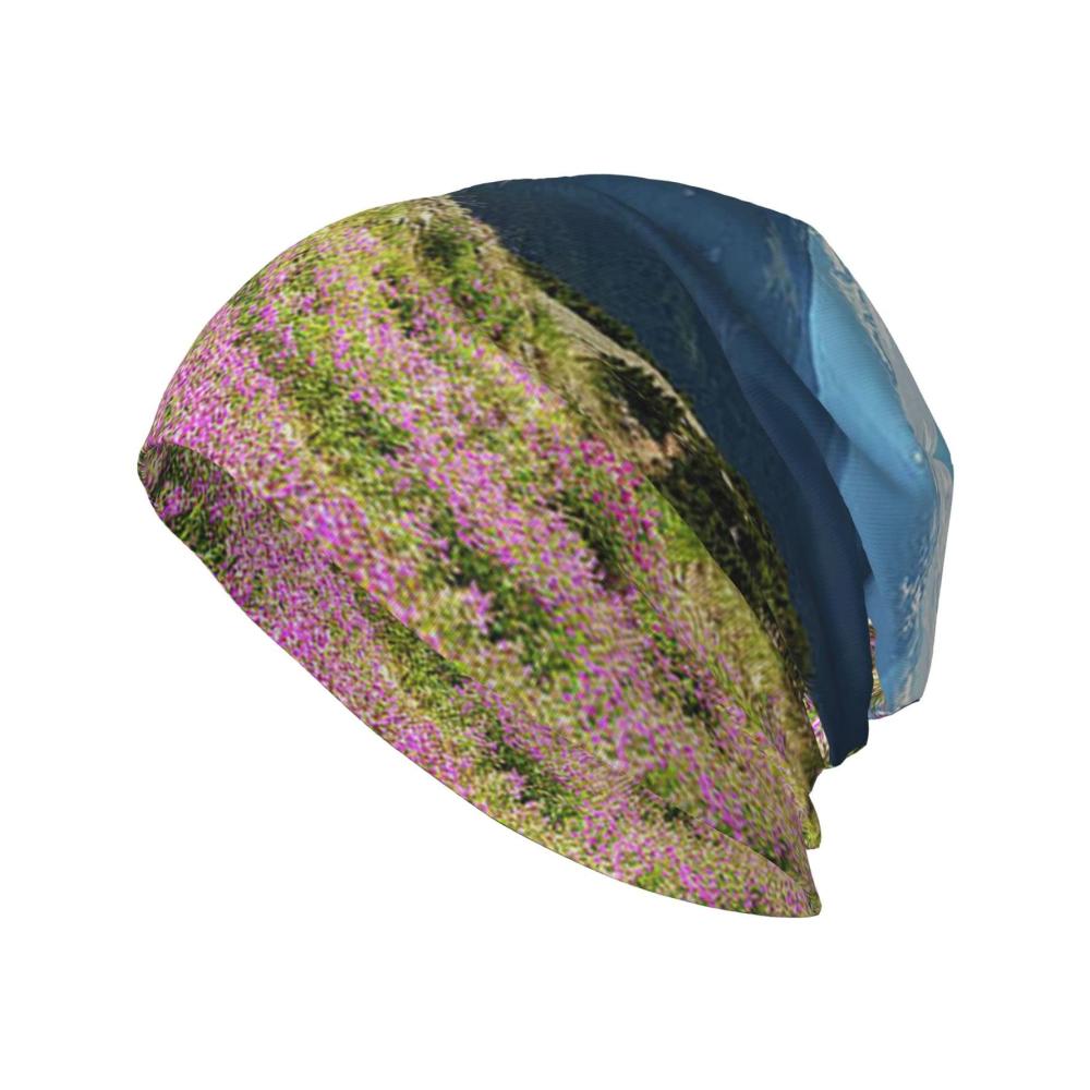 Mountains