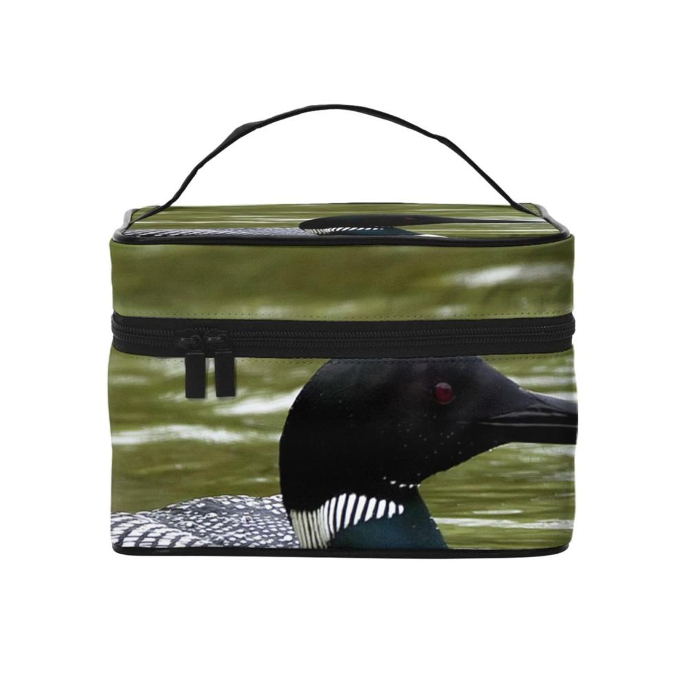 Loon Nature Bird