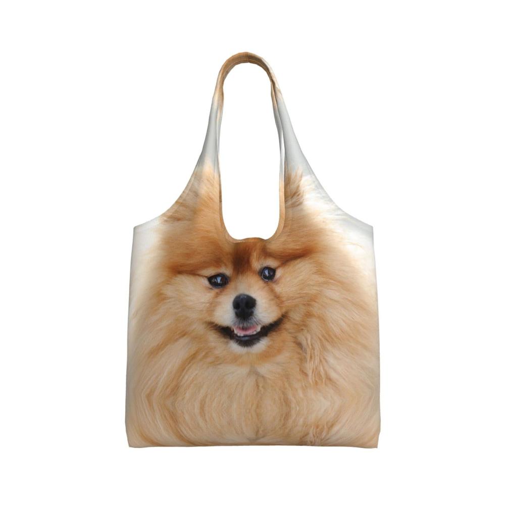 Pommerischer Hund
