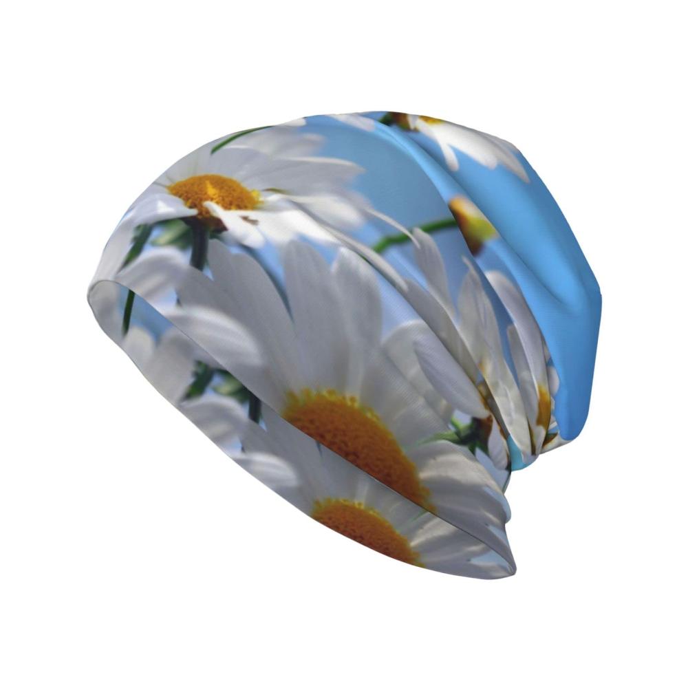 Wild White Daisy Flower