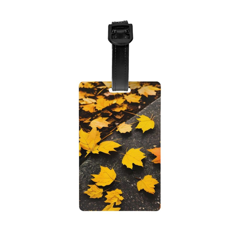 Fall Kürbis