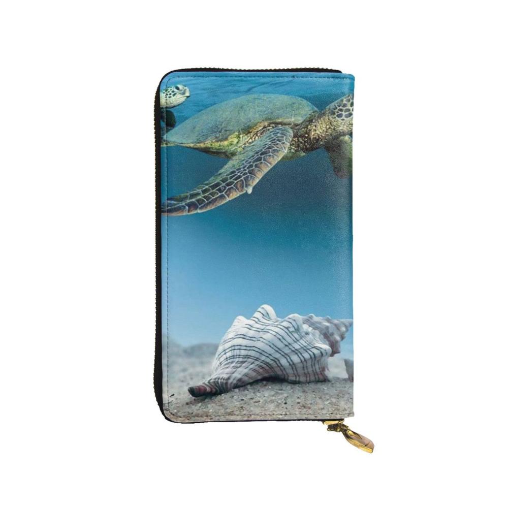Muschel Seestern Schildkröte