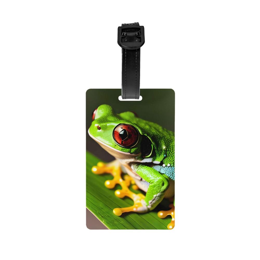 Laubfrosch Baby
