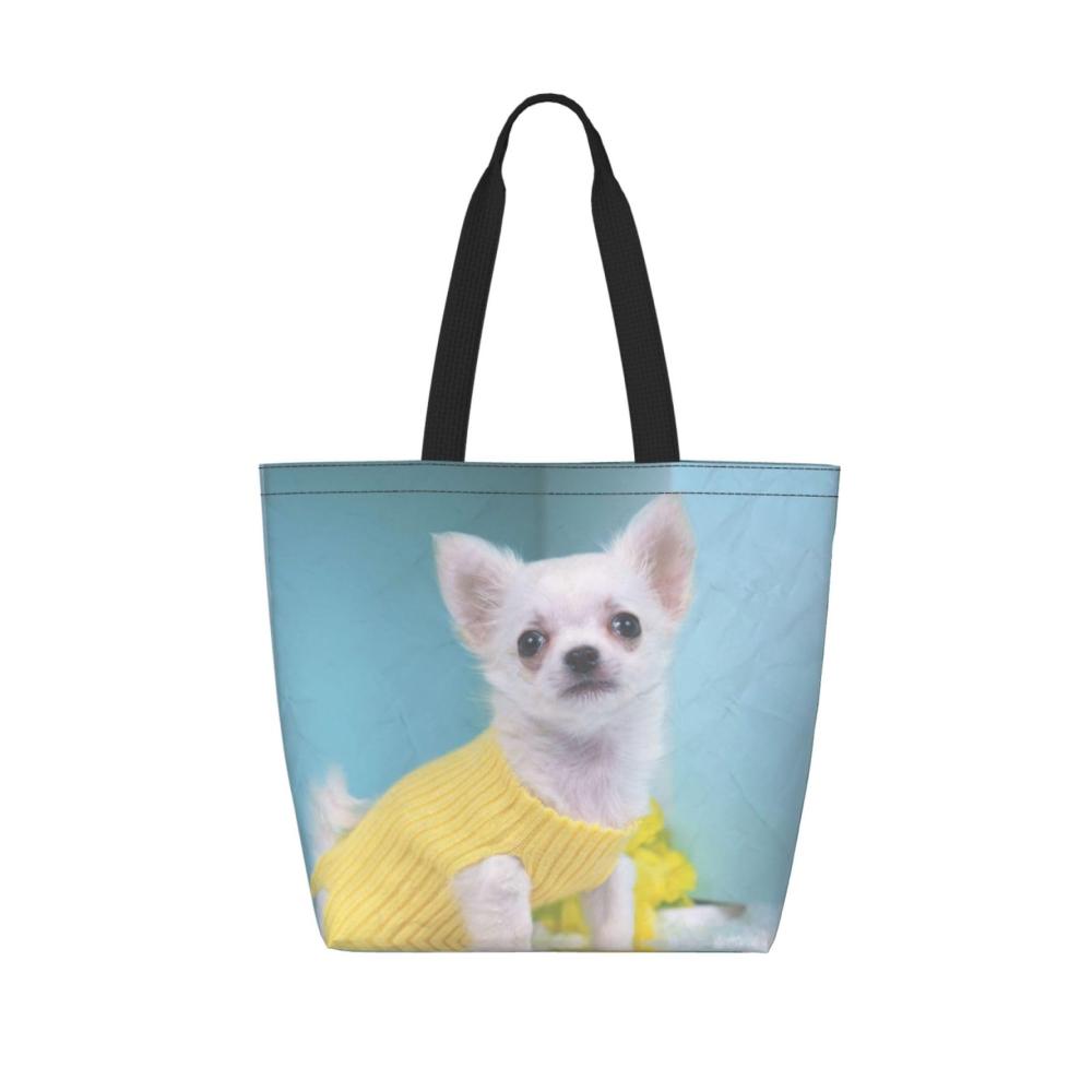 Süßer Chihuahua